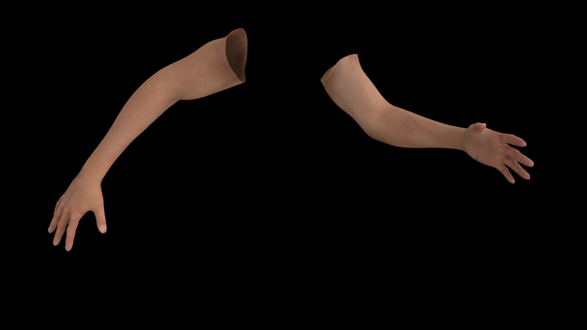 Hands Rigged 3D model_5