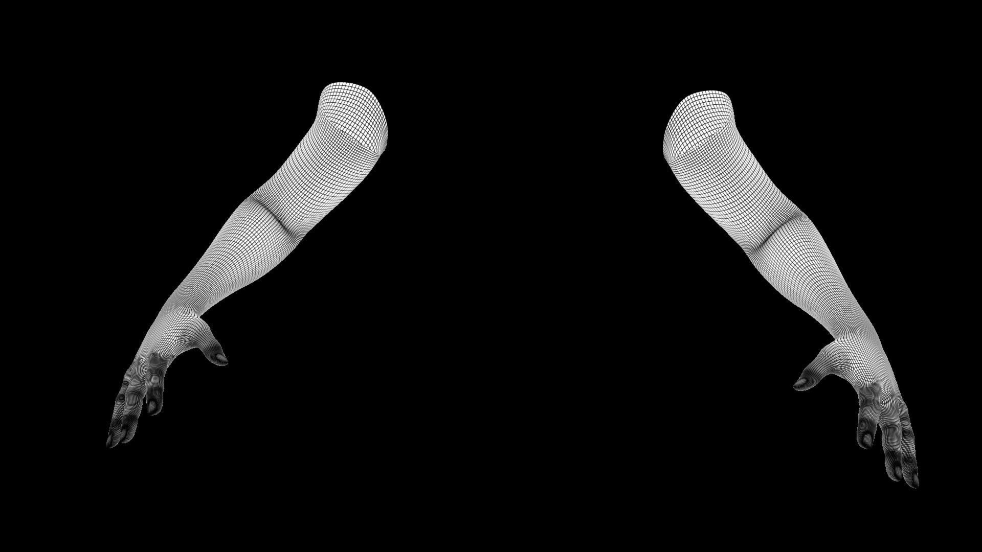 Hands Rigged 3D model_11