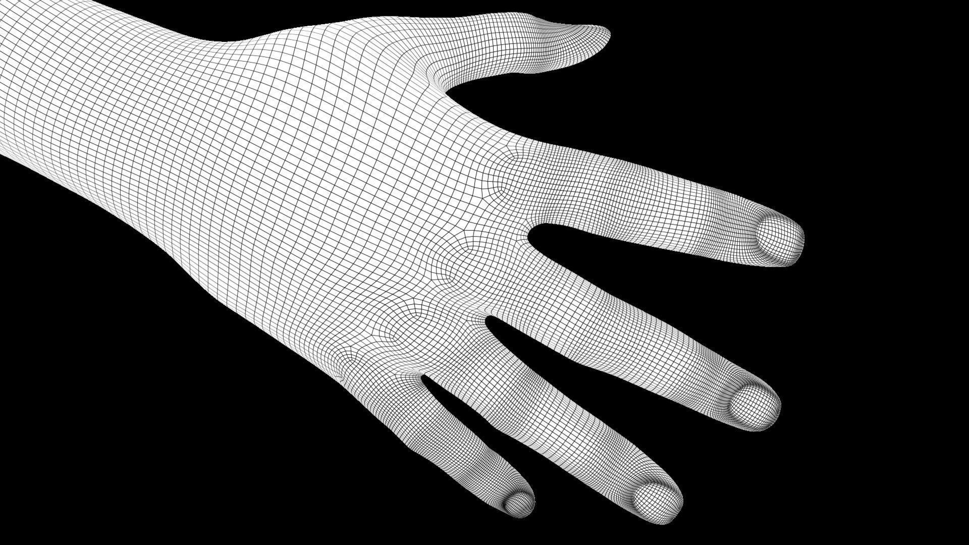 Hands Rigged 3D model_14