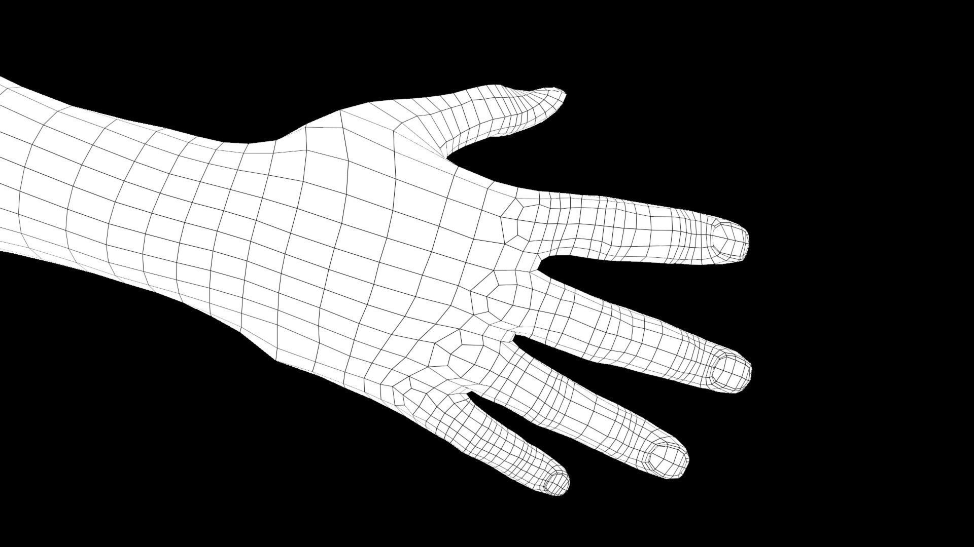 Hands Rigged 3D model_15