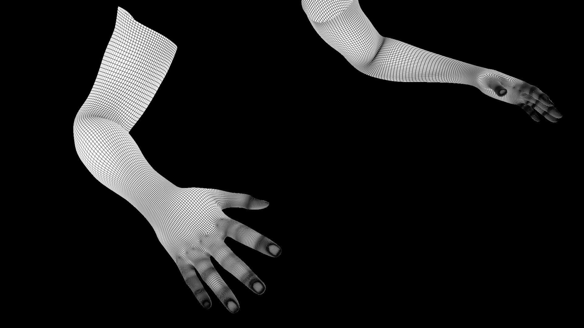 Hands Rigged 3D model_10