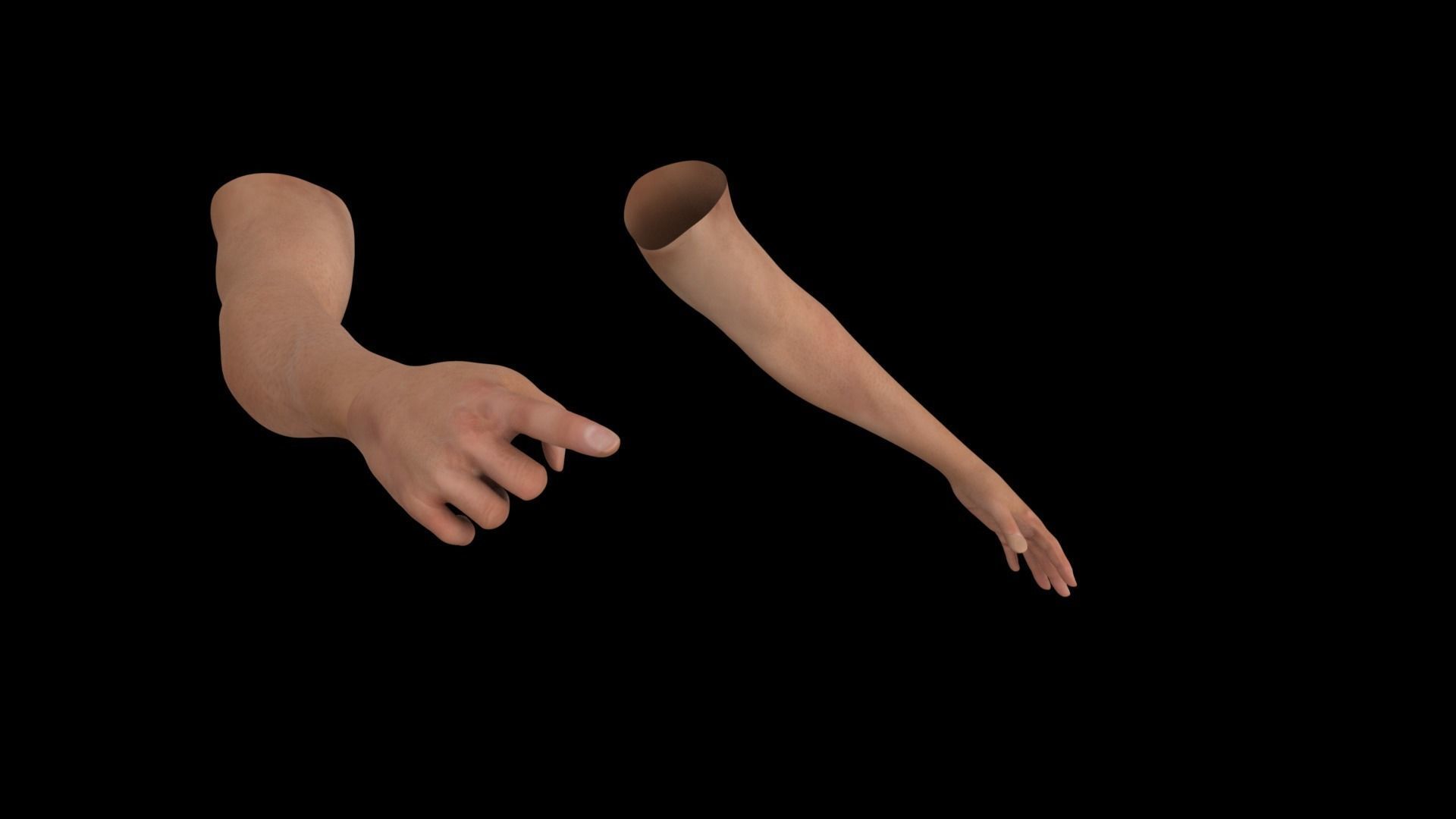 Hands Rigged 3D model_4