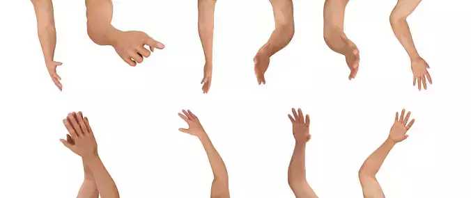 Hands Rigged 3D model