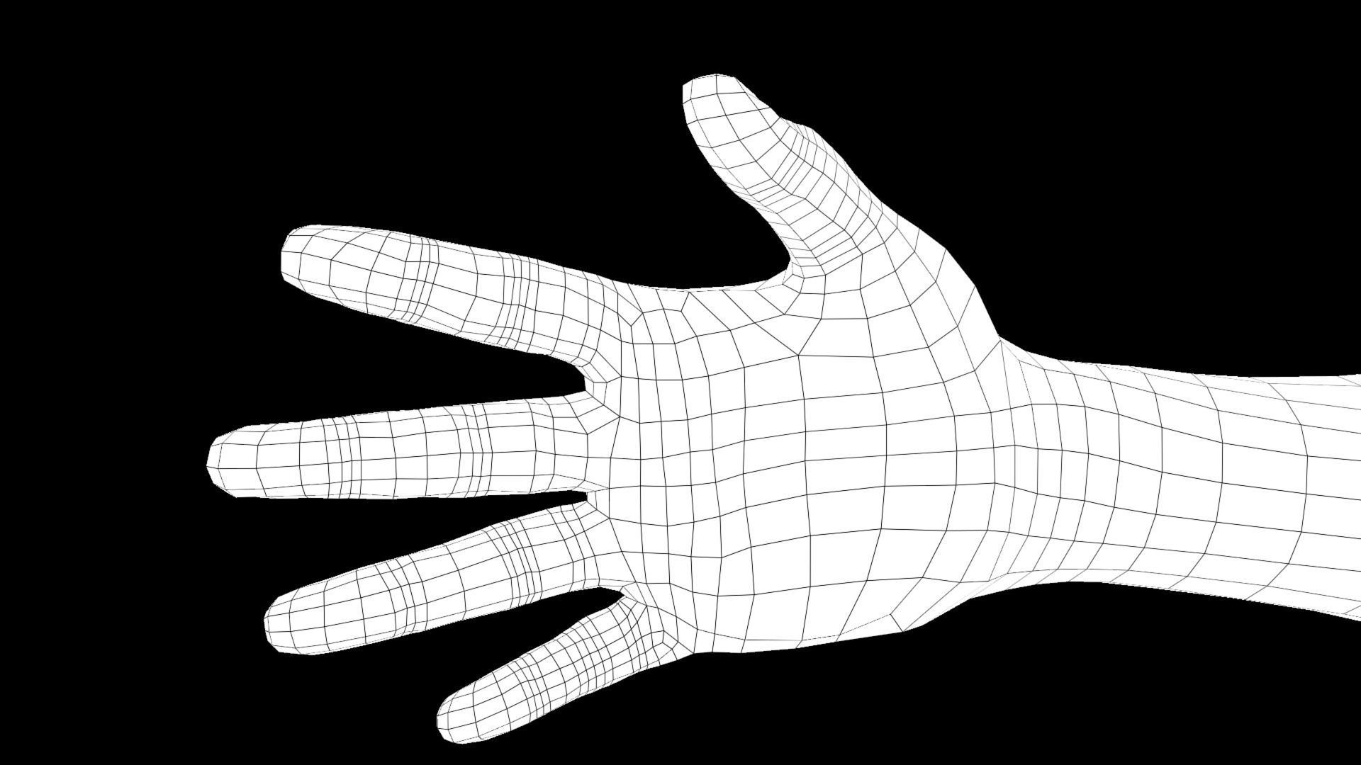 Hands Rigged 3D model_13