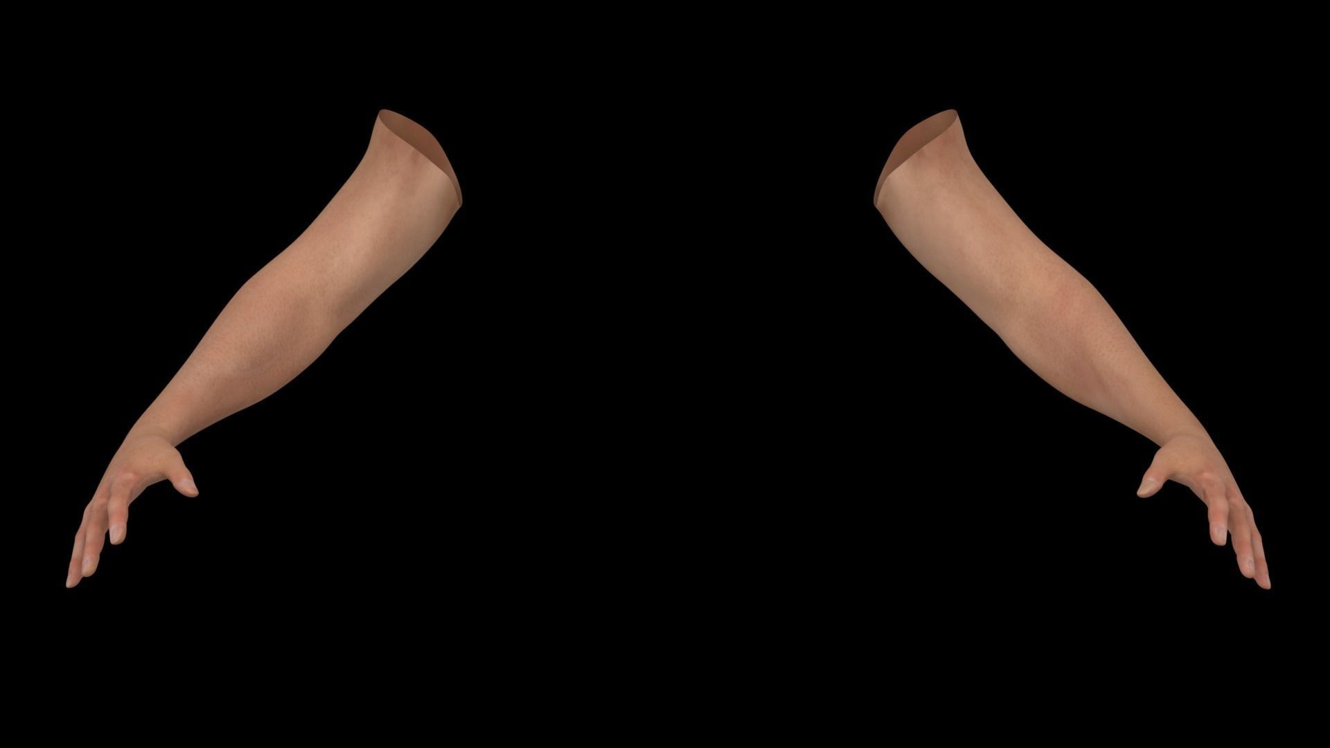 Hands Rigged 3D model_3