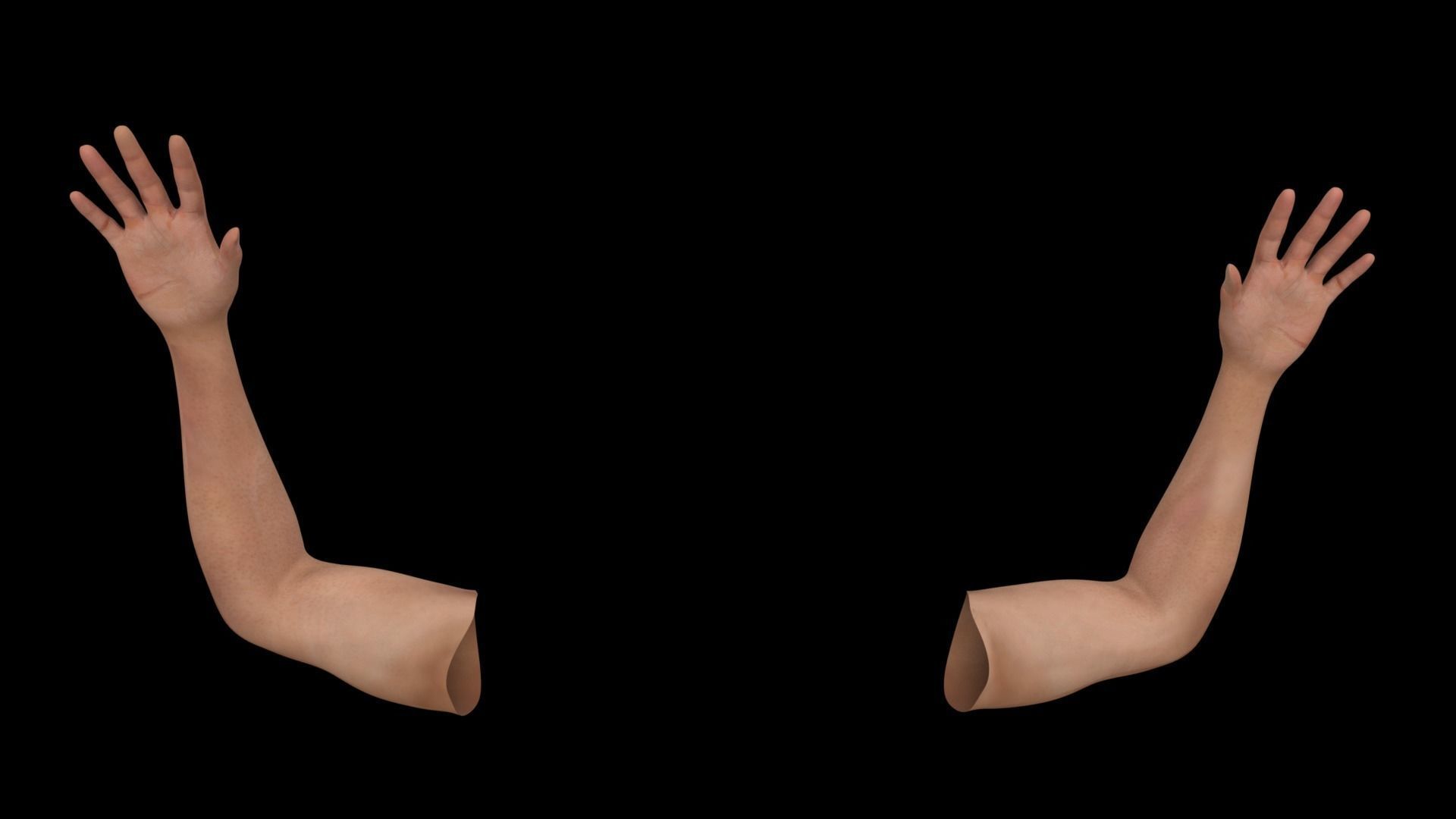 Hands Rigged 3D model_6