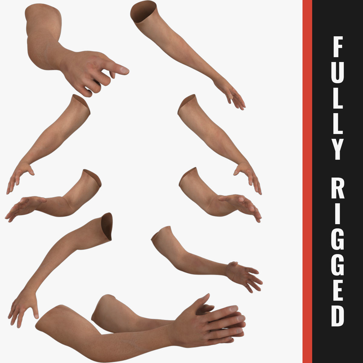 Hands Rigged 3D model_1