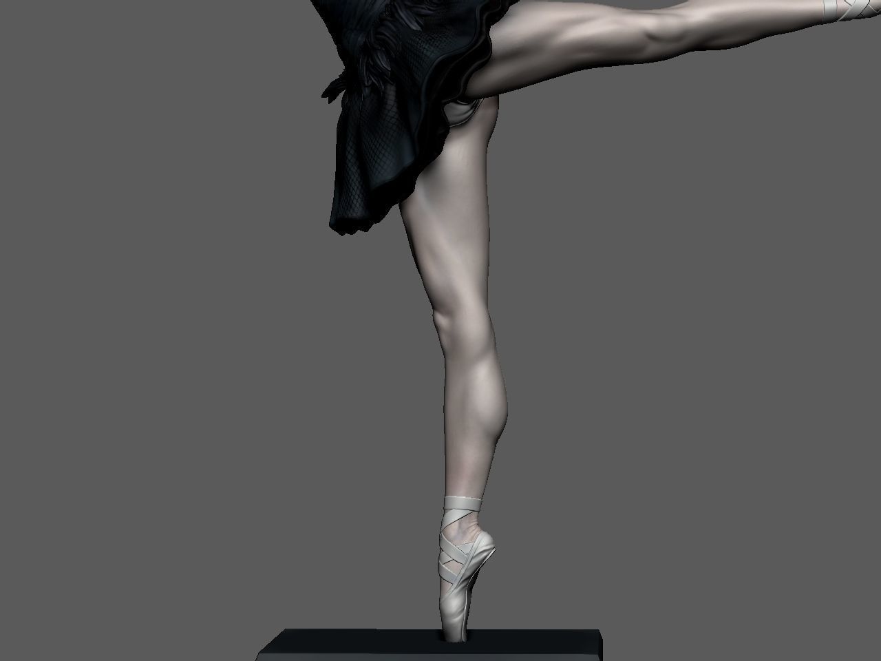 Black Swan 3D print model_41