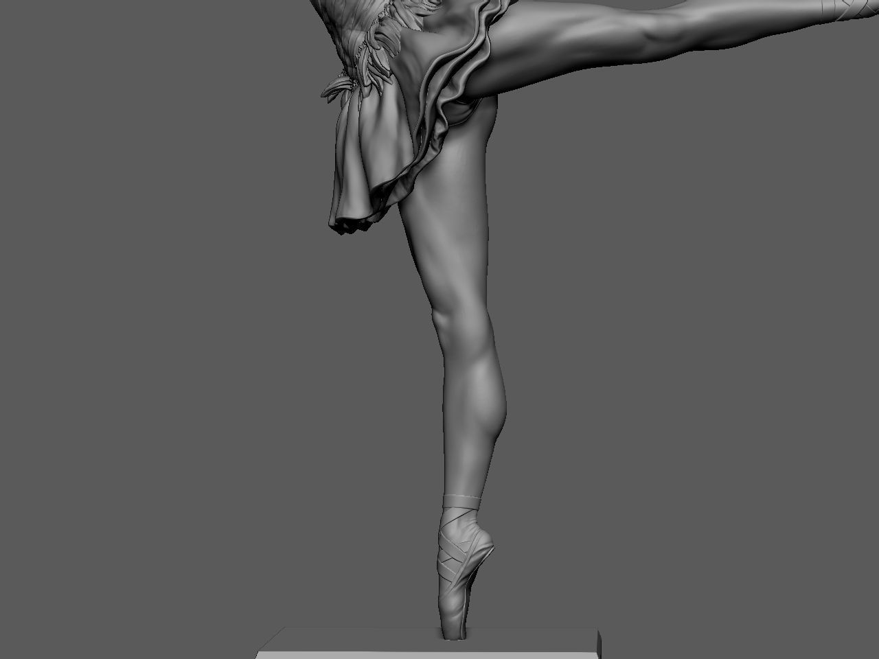 Black Swan 3D print model_42