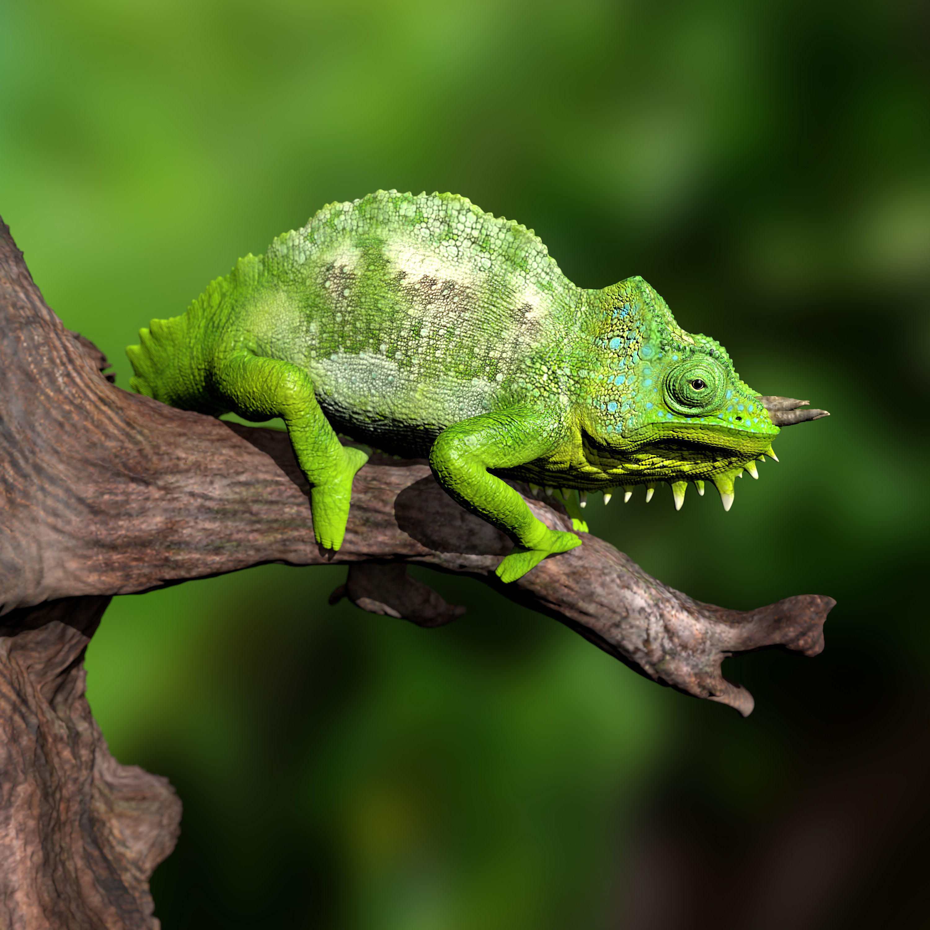 Triocerus quadricornis High-polygon 3D model full-size texture 3D model_5