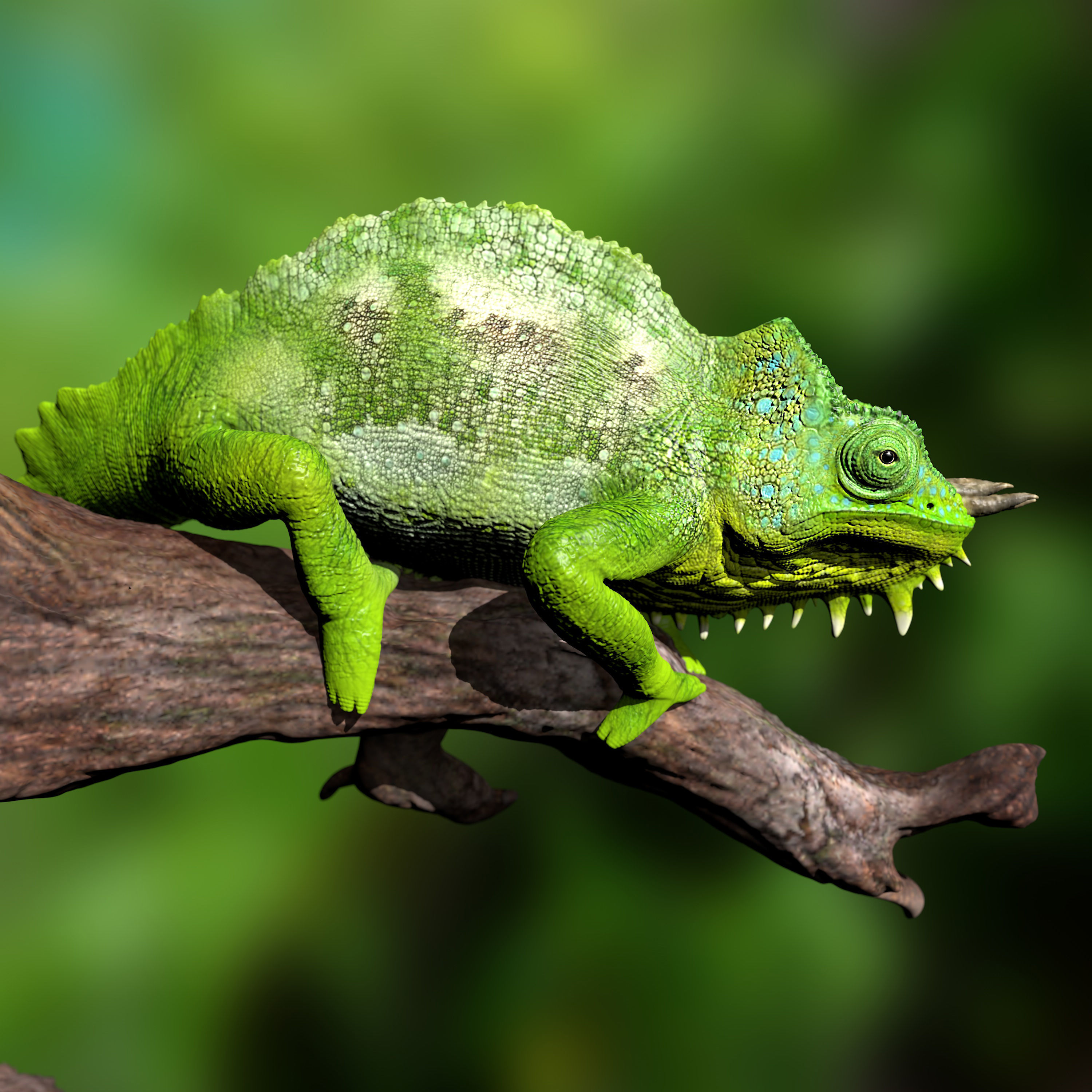 Triocerus quadricornis High-polygon 3D model full-size texture 3D model_9