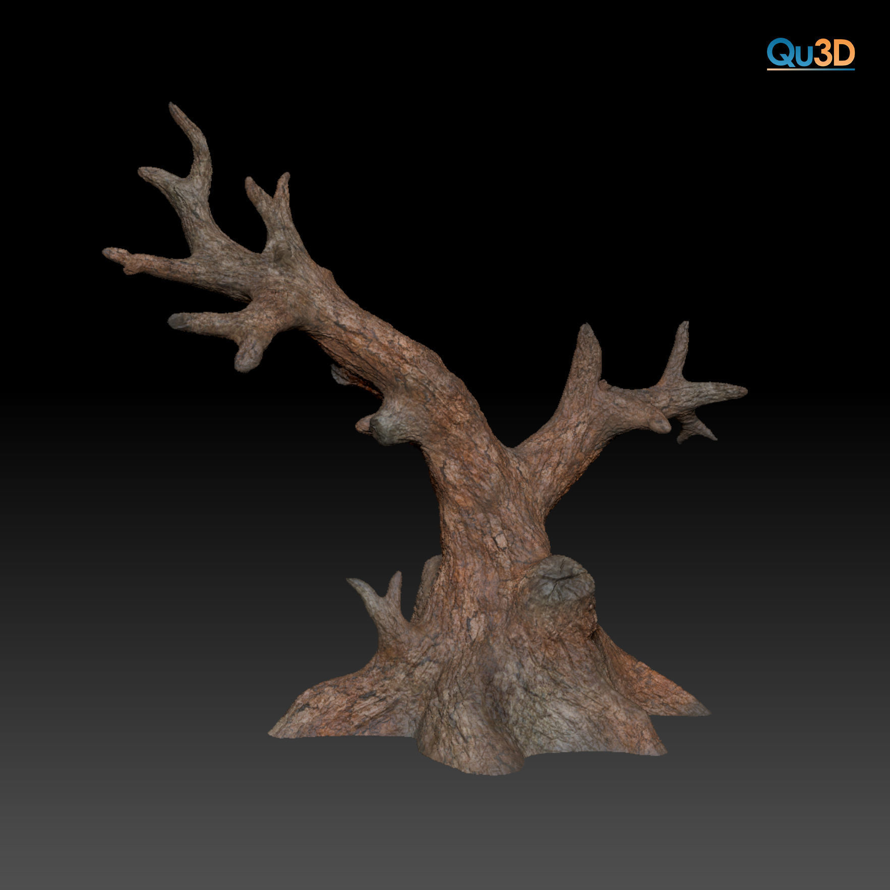 Triocerus quadricornis High-polygon 3D model full-size texture 3D model_10