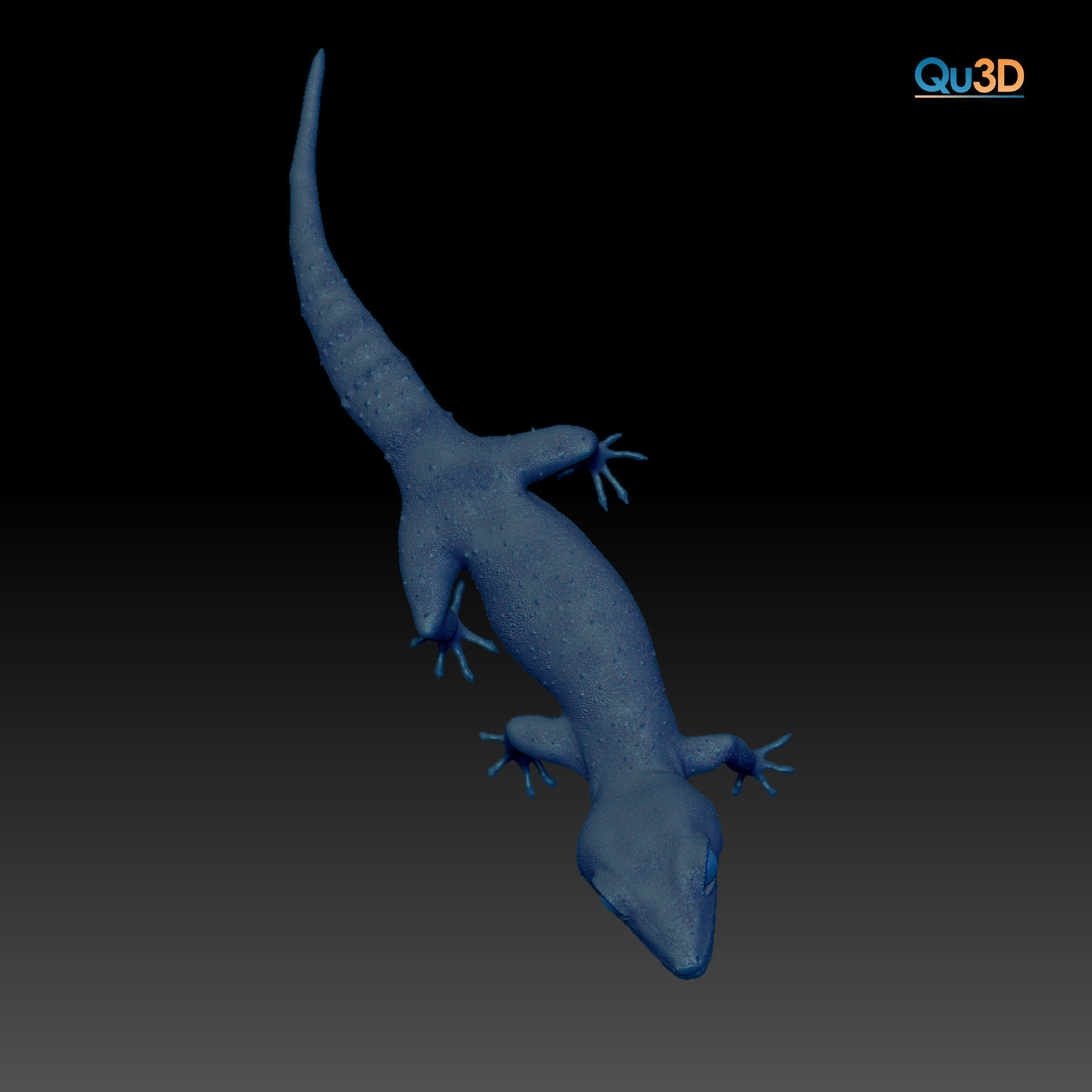 Japanese Cave Gecko - Goniurosaurus orientalis 3D model_1