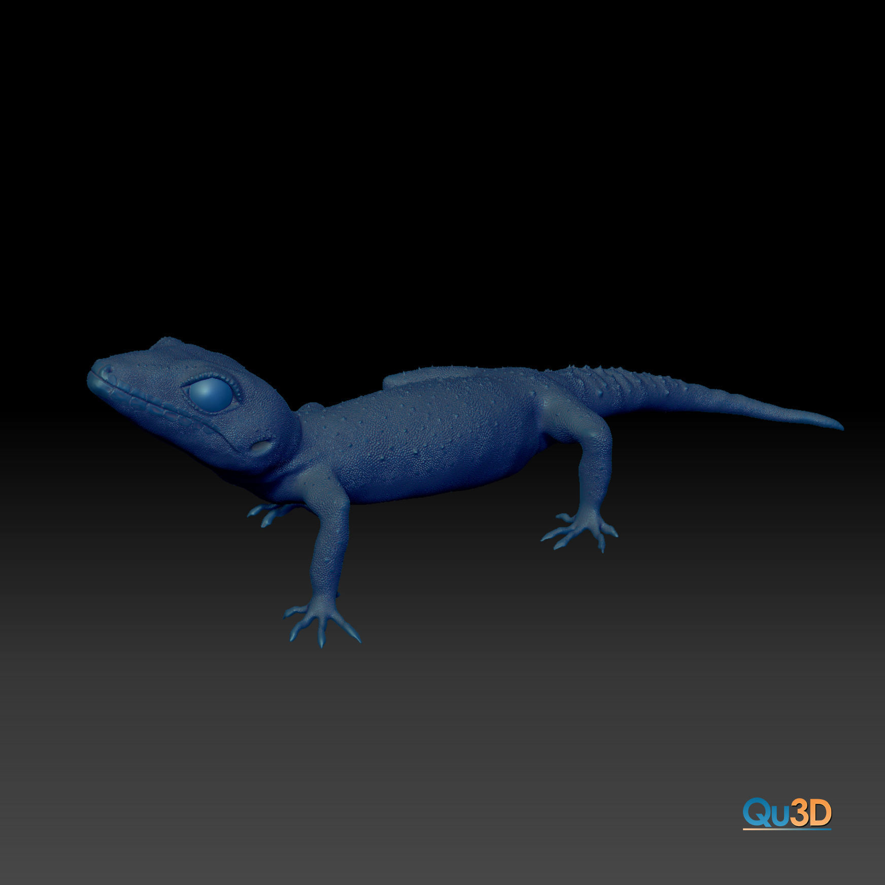 Japanese Cave Gecko - Goniurosaurus orientalis 3D model_3