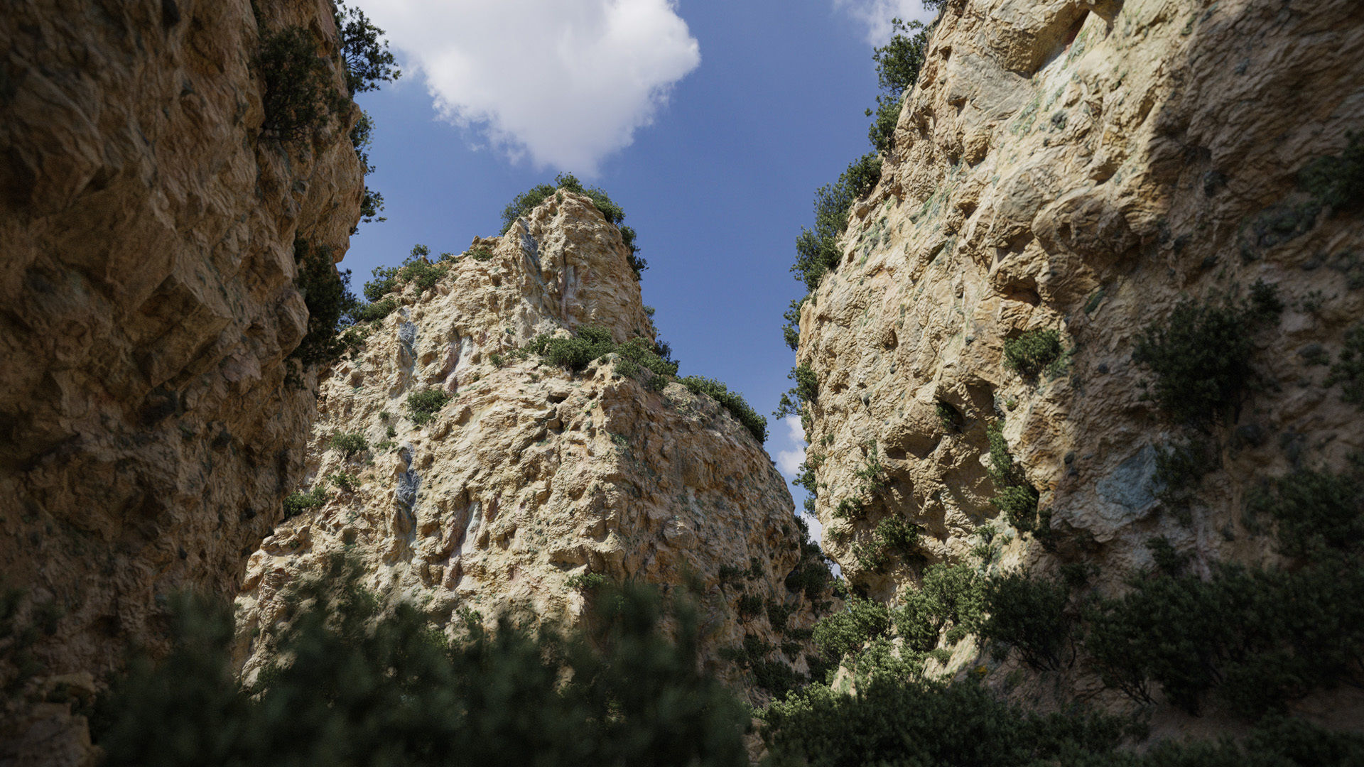 Semi Desert Cliff Collection PBR Scans Low-poly 3D model_4