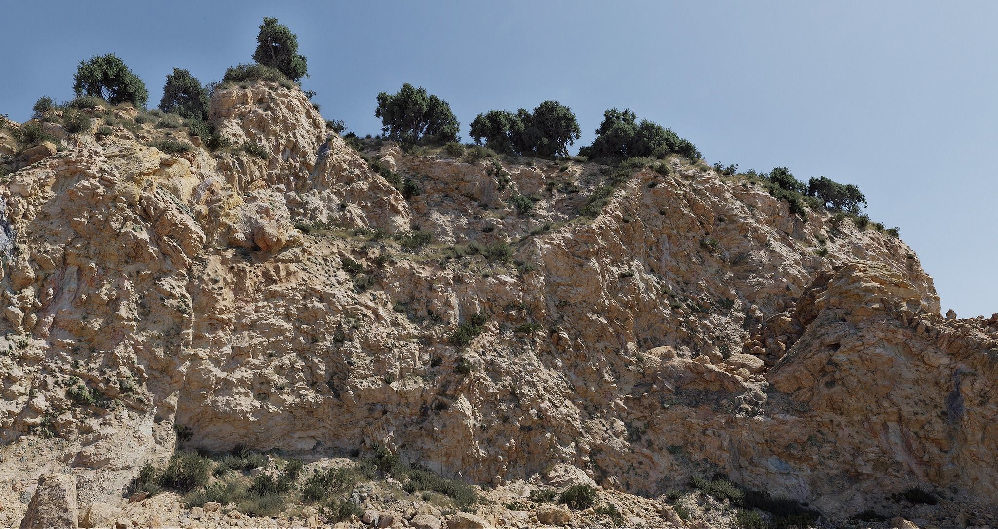 Semi Desert Cliff Collection PBR Scans Low-poly 3D model_2