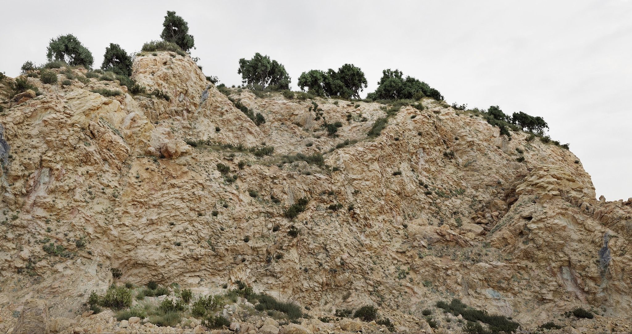 Semi Desert Cliff Collection PBR Scans Low-poly 3D model_11