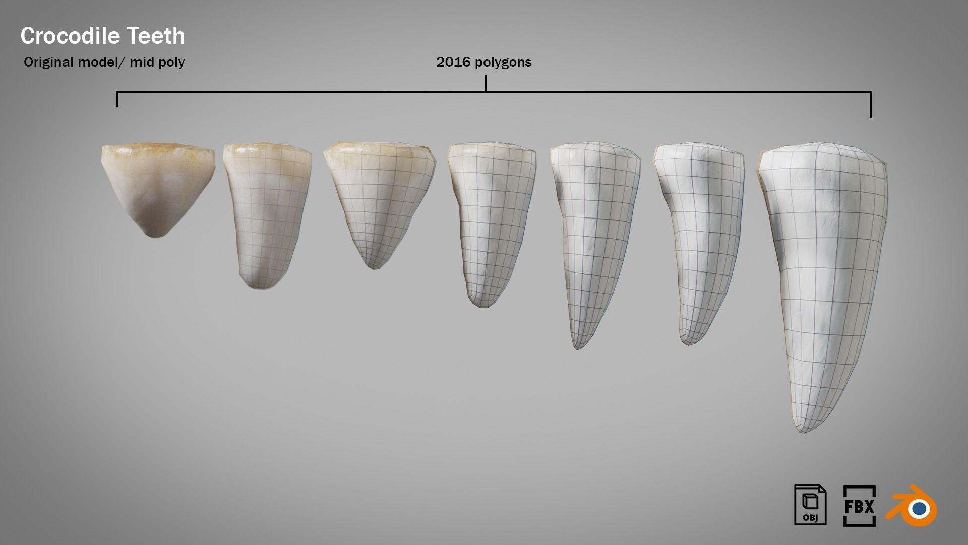 Crocodile teeth 7 pieces PBR Low-poly 3D model_7