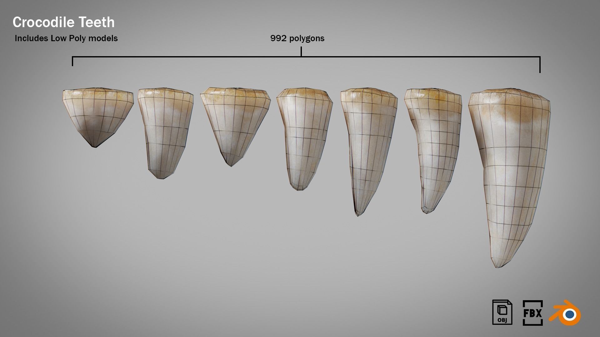 Crocodile teeth 7 pieces PBR Low-poly 3D model_10