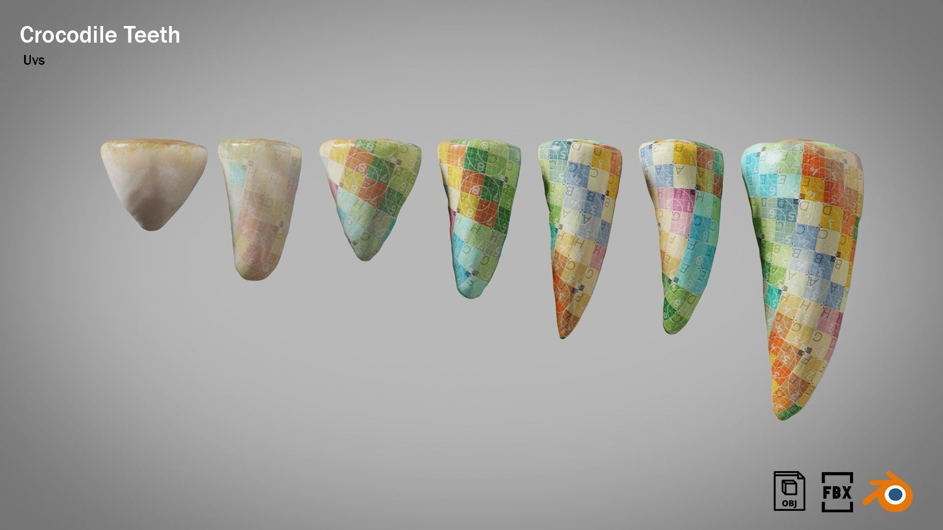 Crocodile teeth 7 pieces PBR Low-poly 3D model_9