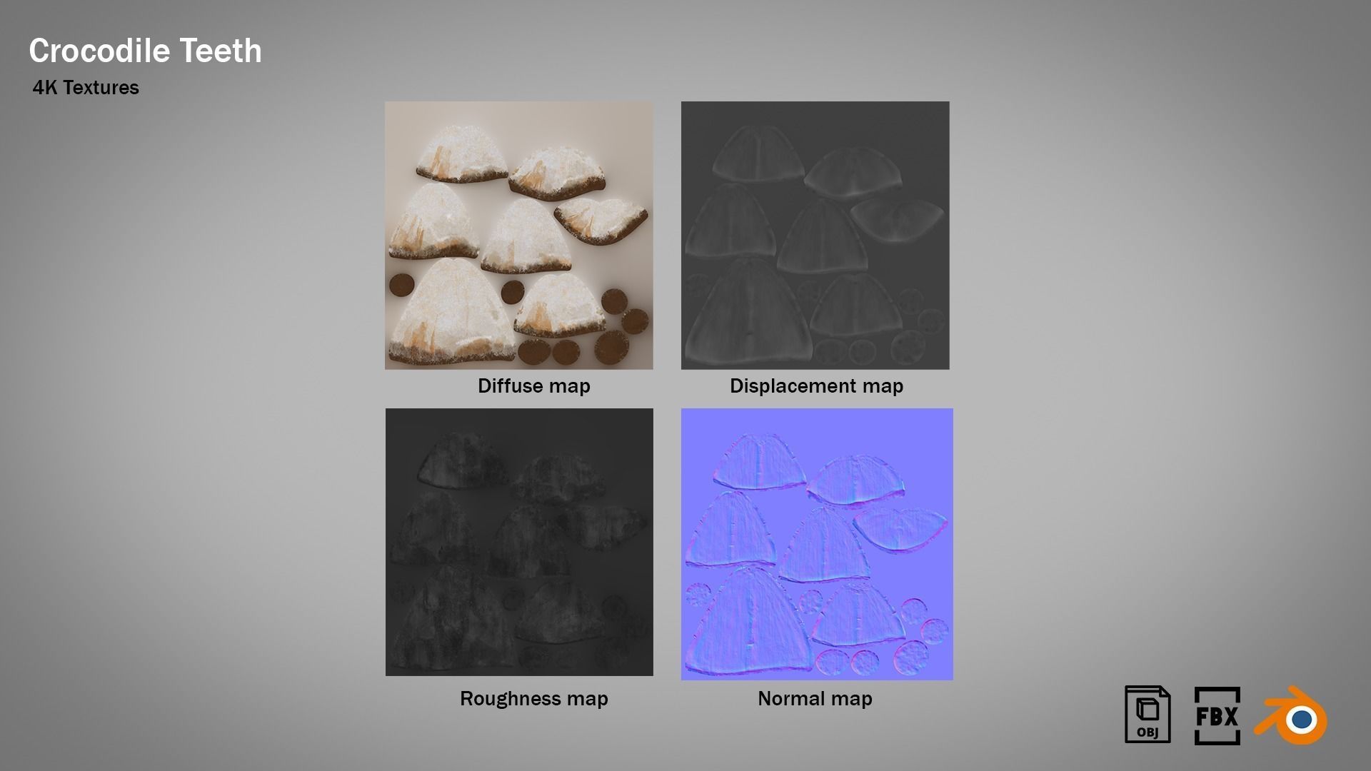 Crocodile teeth 7 pieces PBR Low-poly 3D model_11