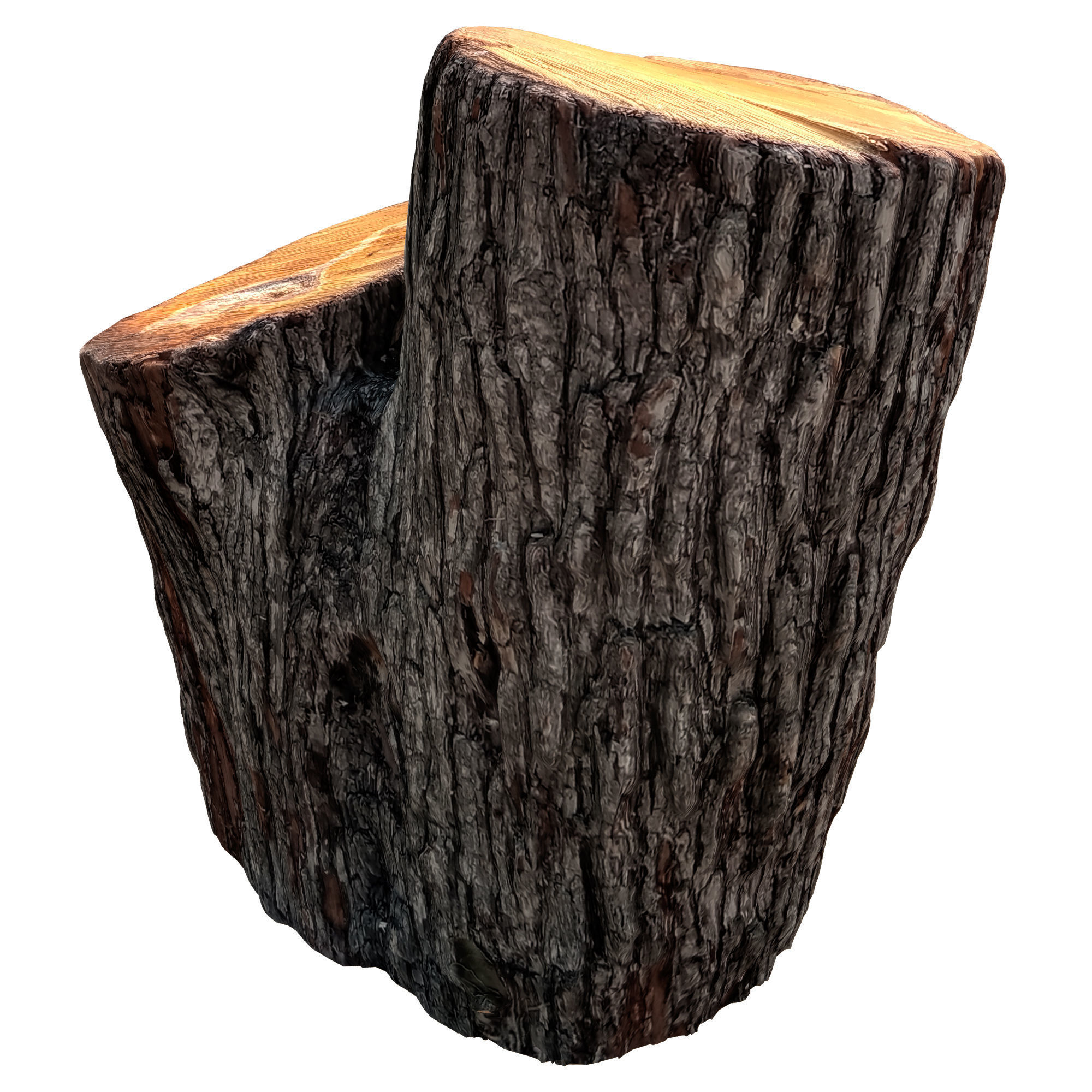 trunk 72 3D model_2
