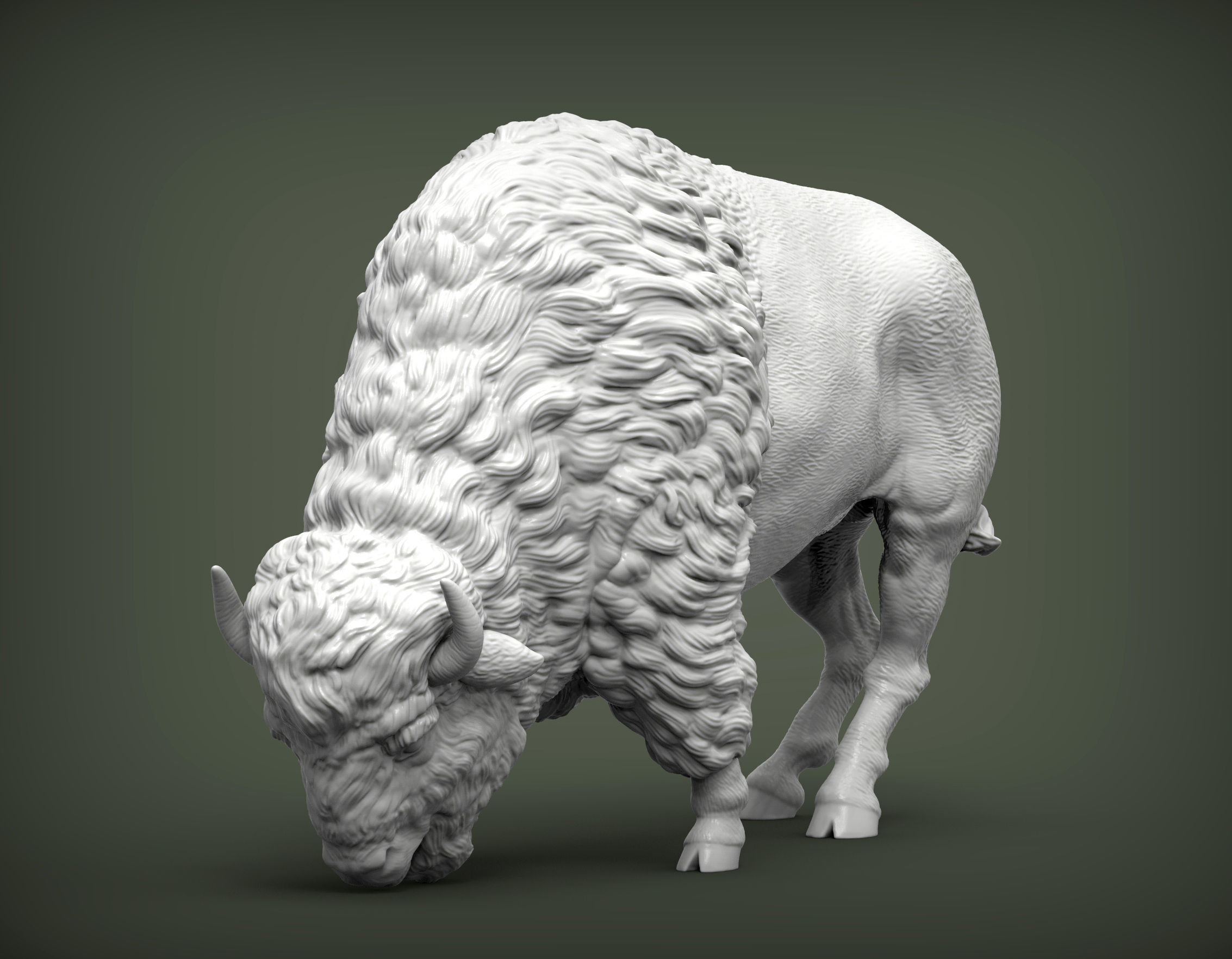 Bison 3D print model_2
