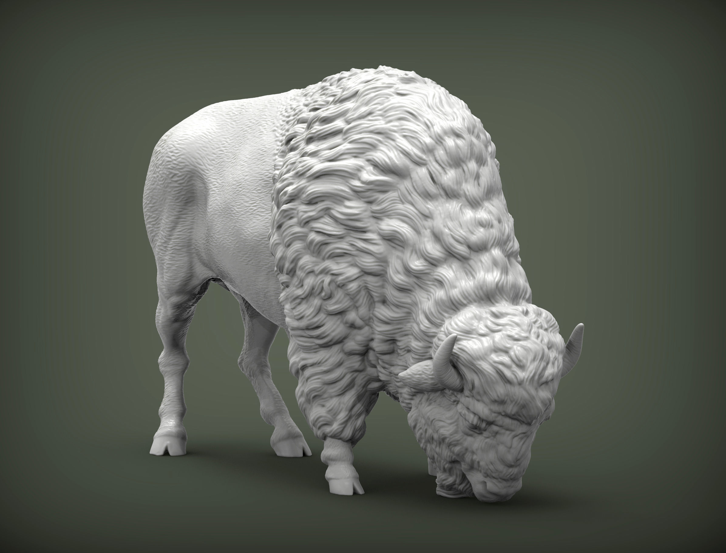 Bison 3D print model_4