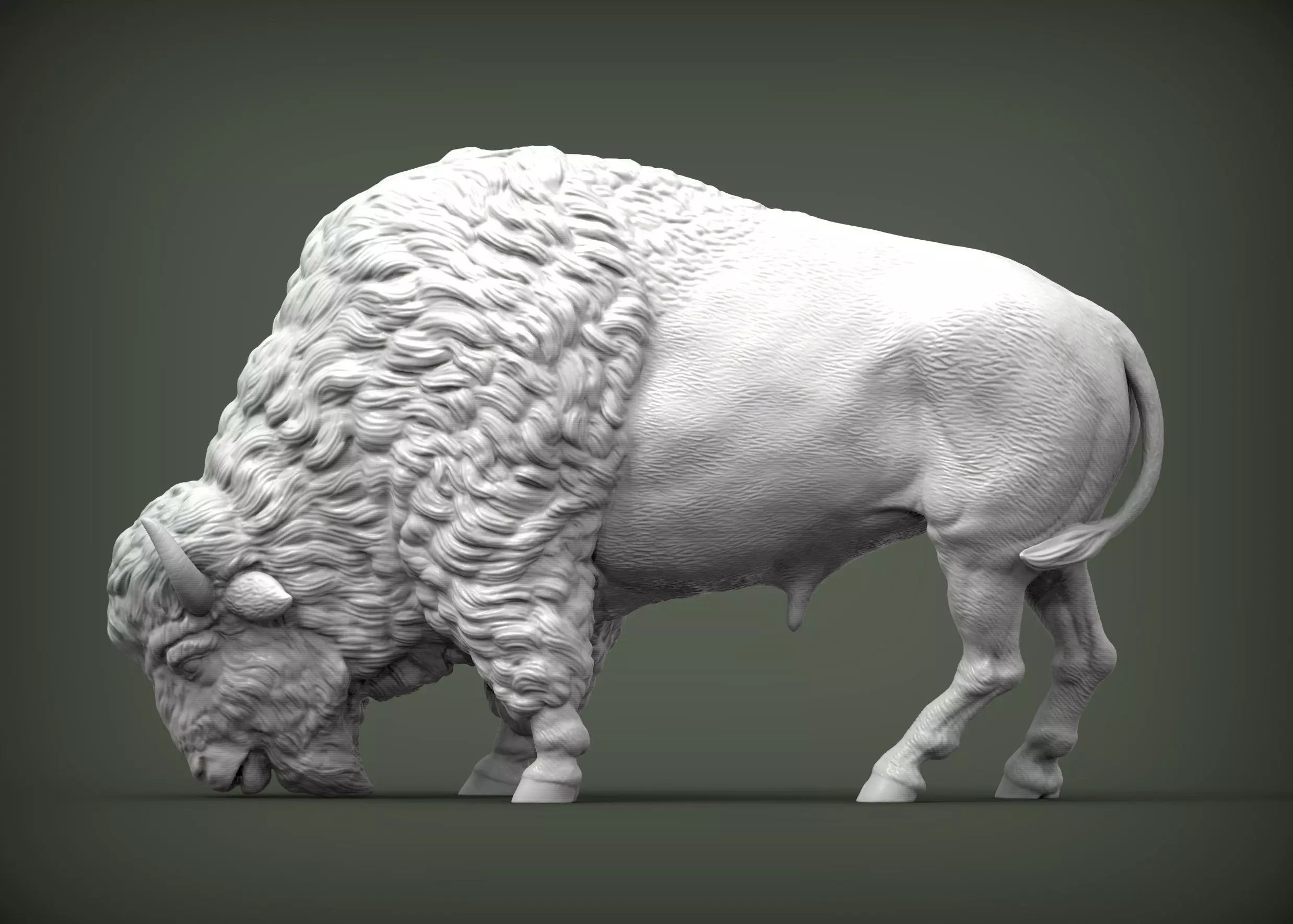 Bison 3D print model_0
