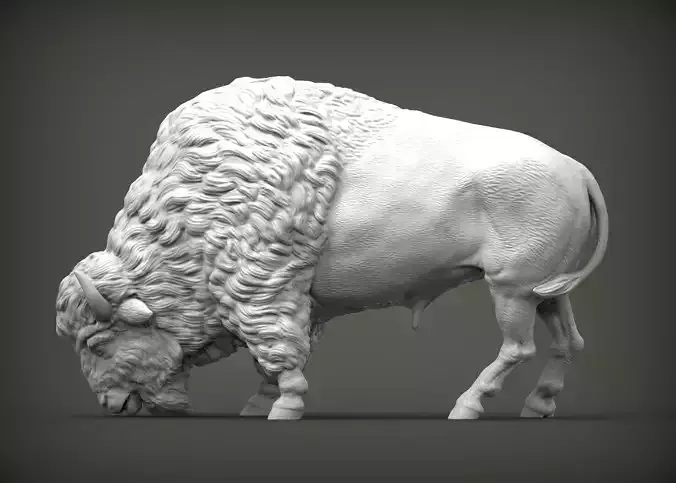 Bison 3D print model