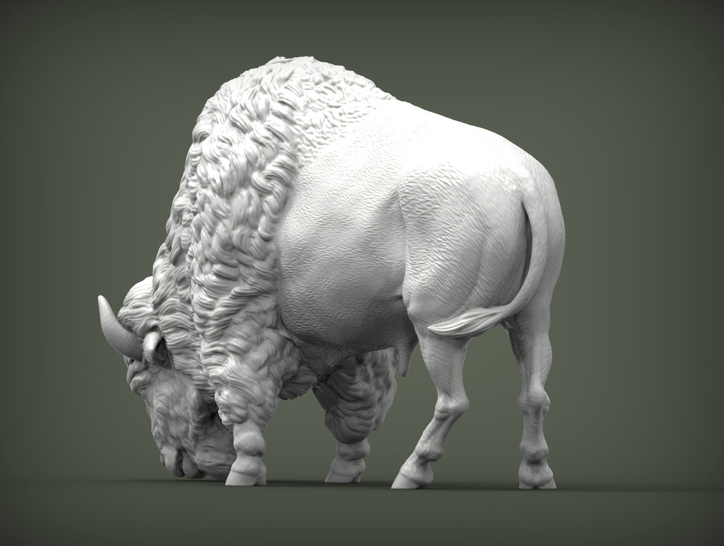 Bison 3D print model_3