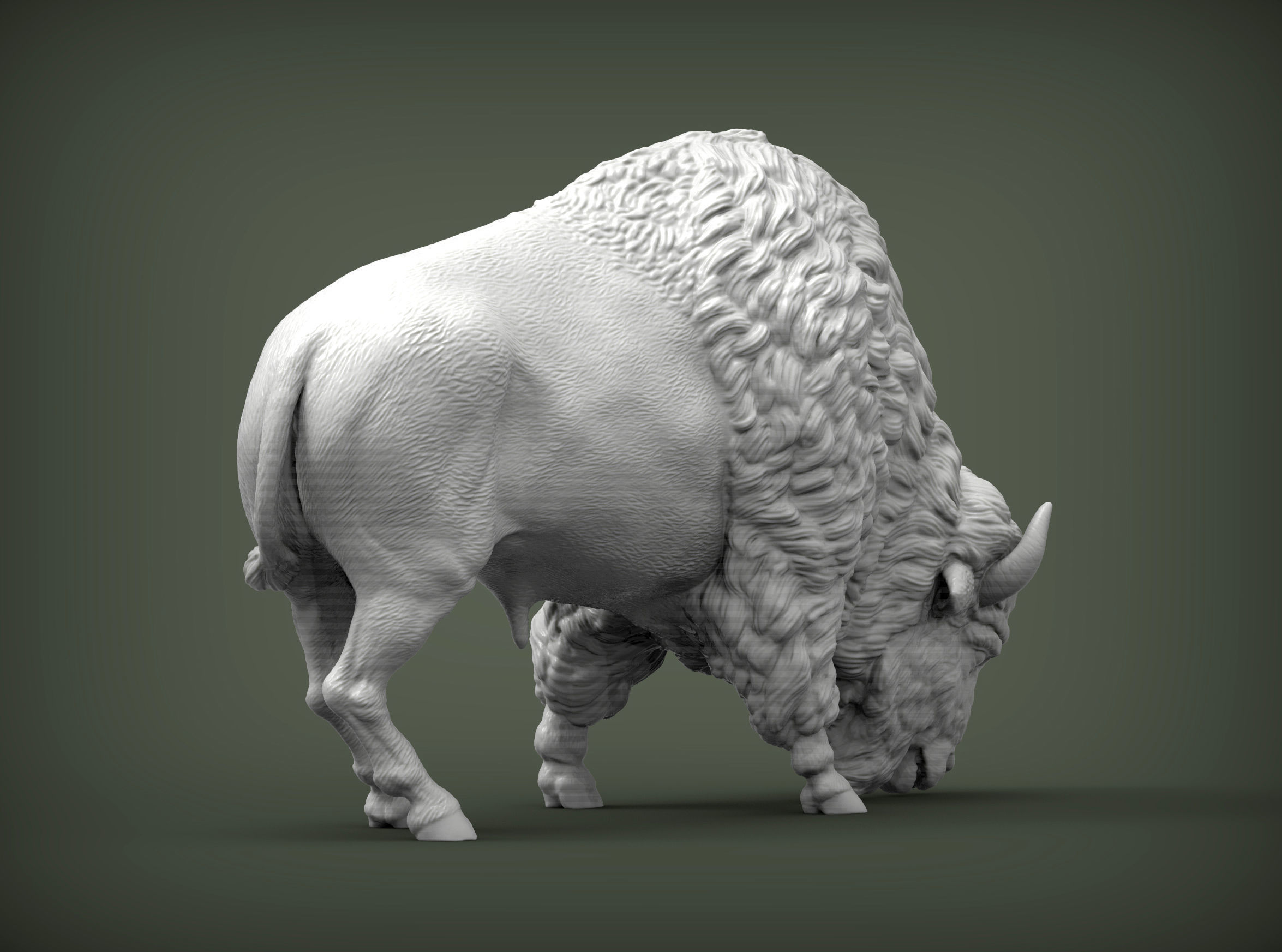 Bison 3D print model_6