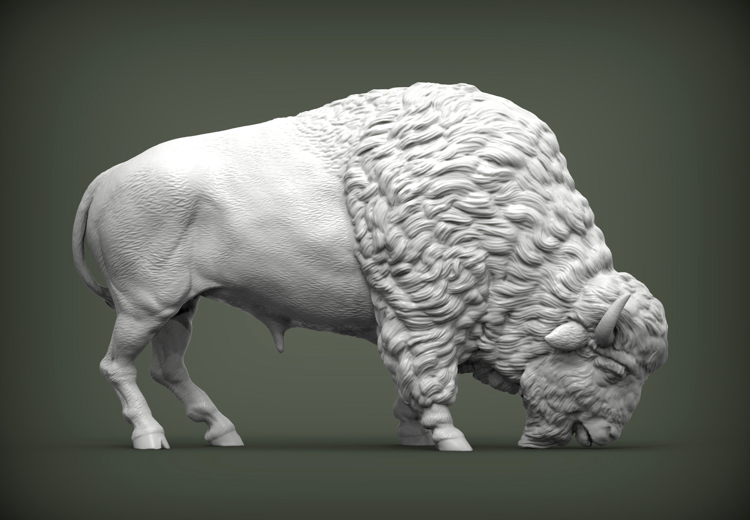 Bison 3D print model_5