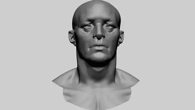 Base Male Head A0 3D model