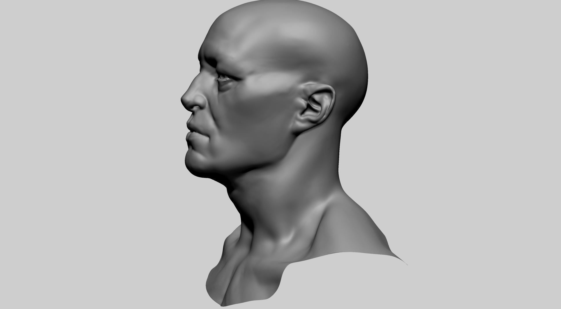Base Male Head A0 3D model_6