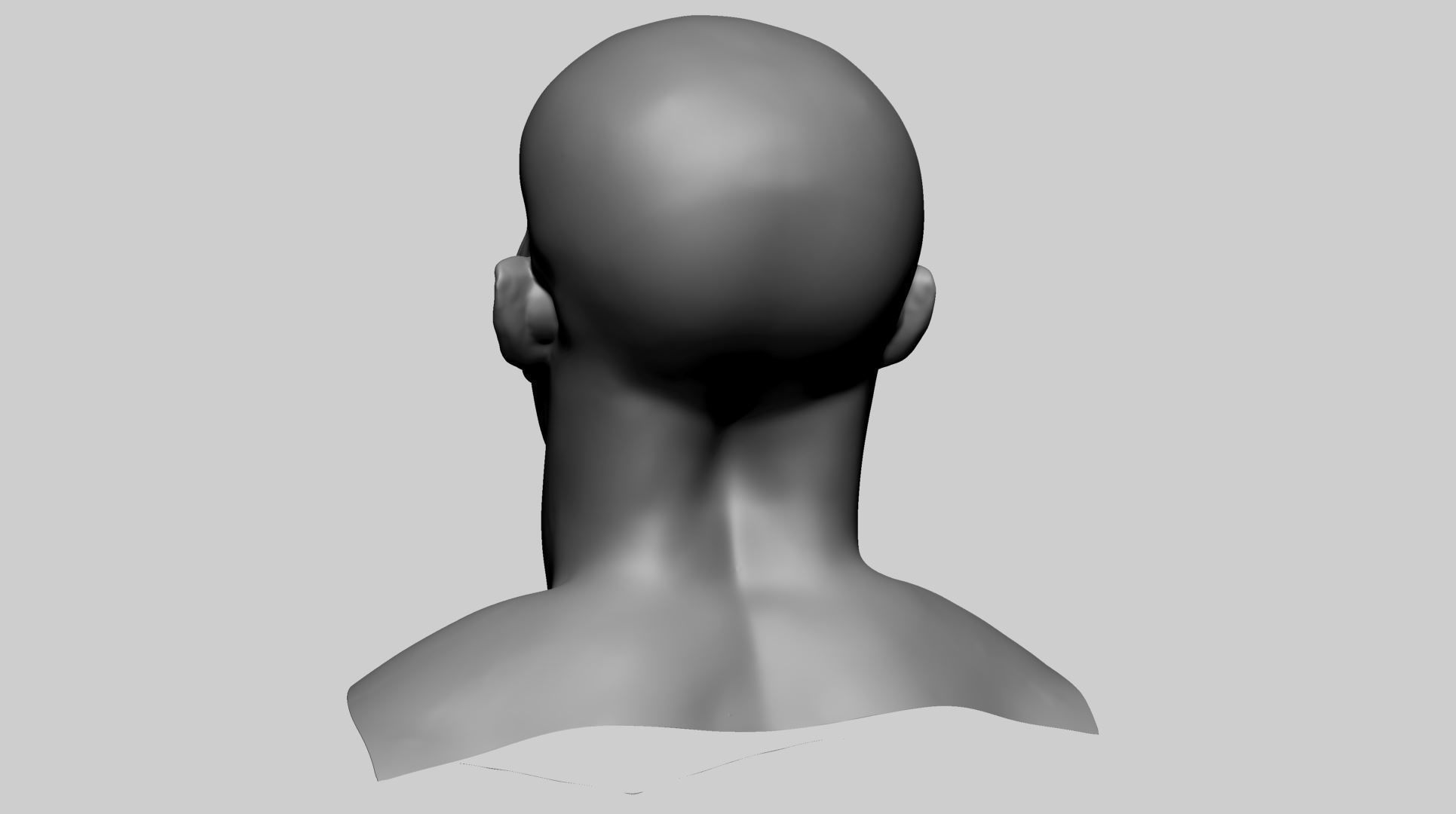 Base Male Head A0 3D model_4