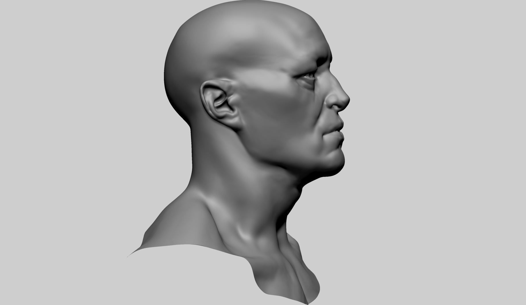 Base Male Head A0 3D model_2