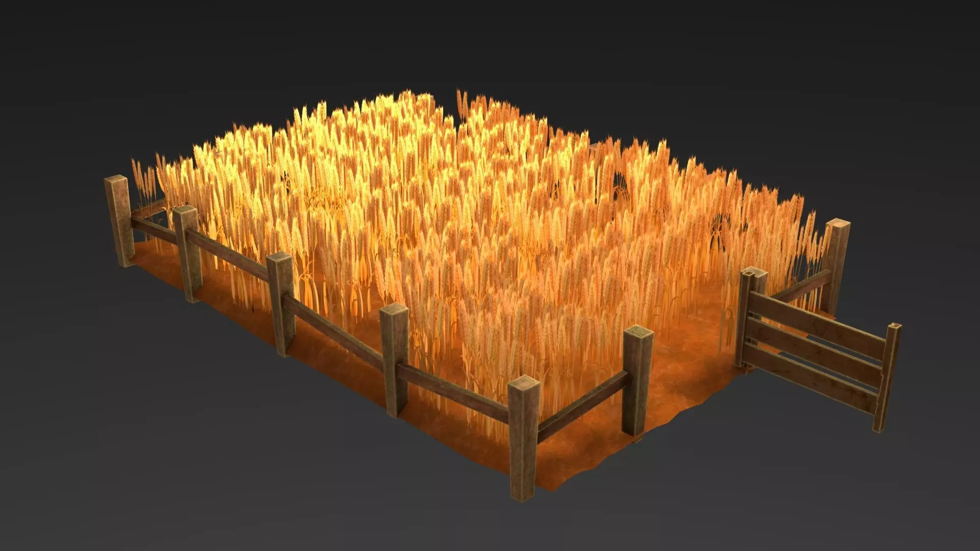 Field wheat with wooden fence Low-poly 3D model_0