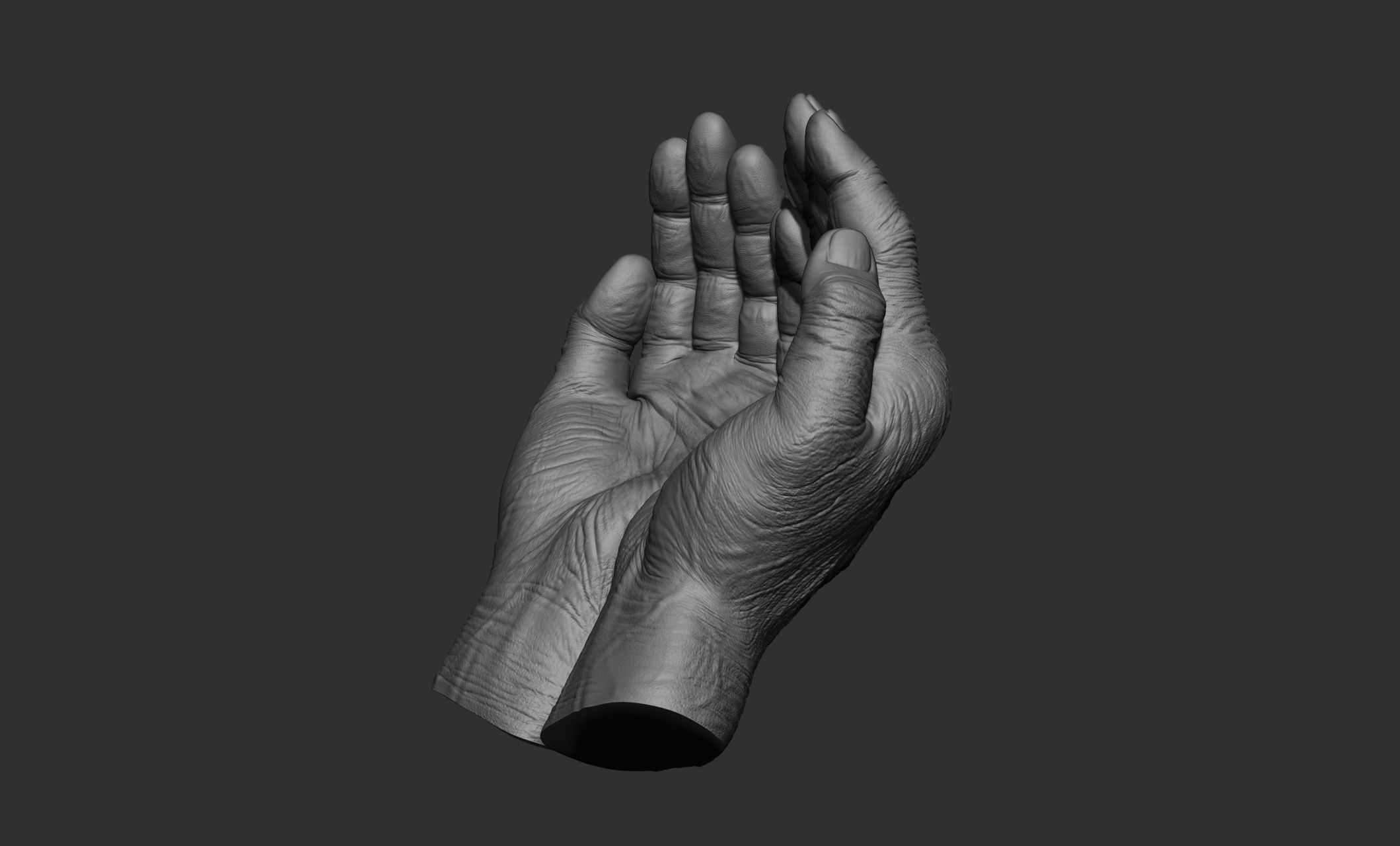 Old man hand poses 3D model_8