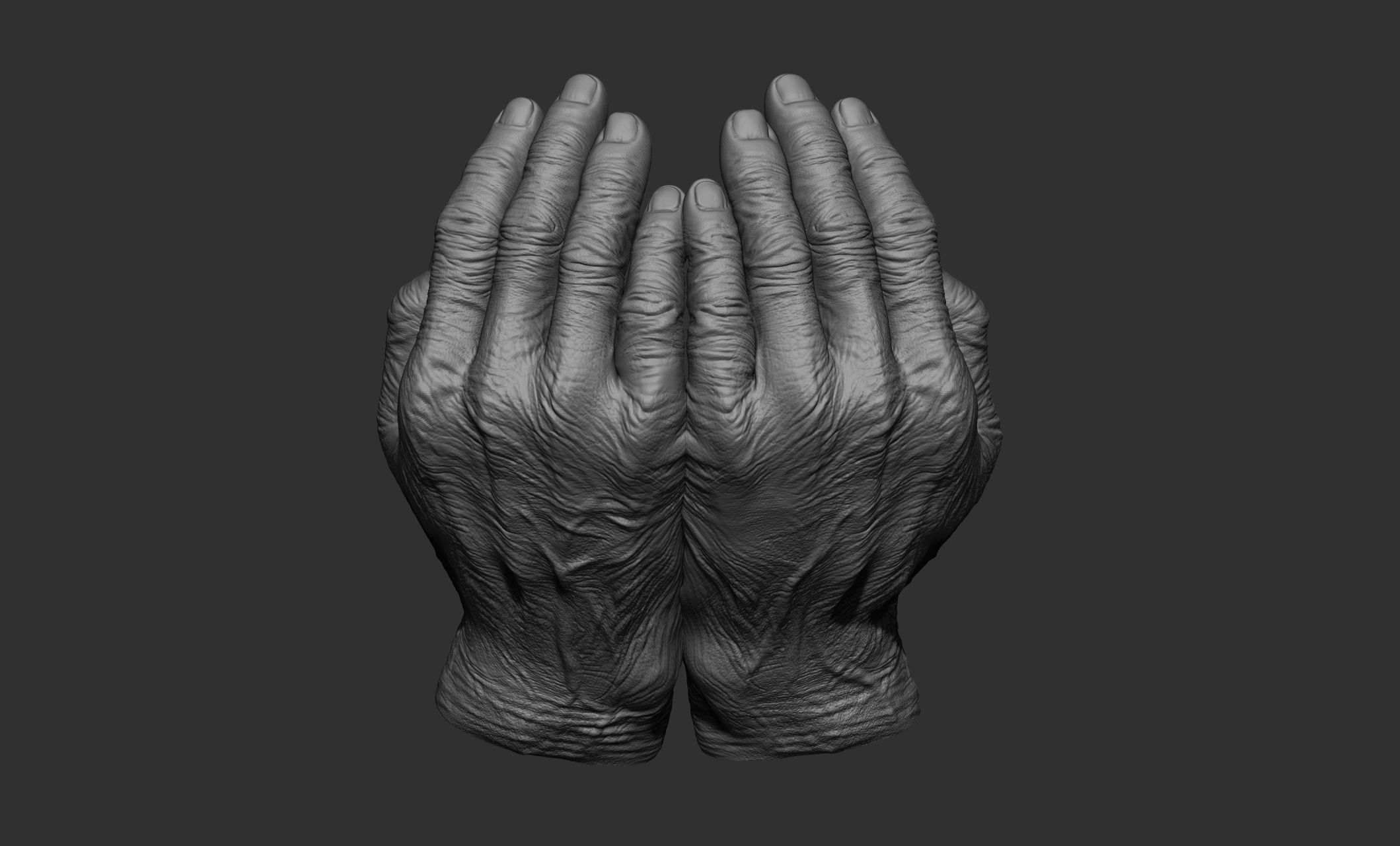 Old man hand poses 3D model_3