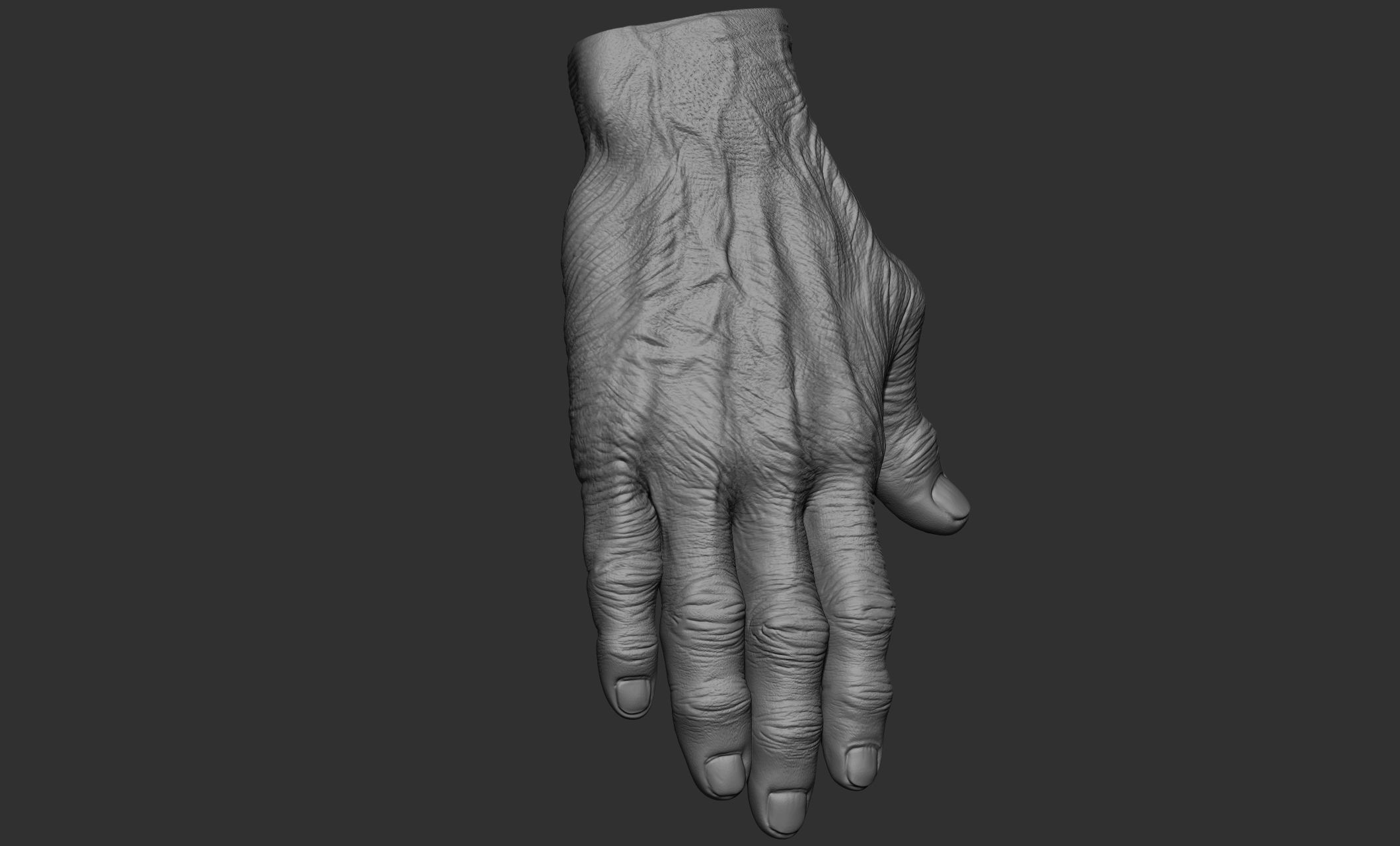 Old man hand poses 3D model_48
