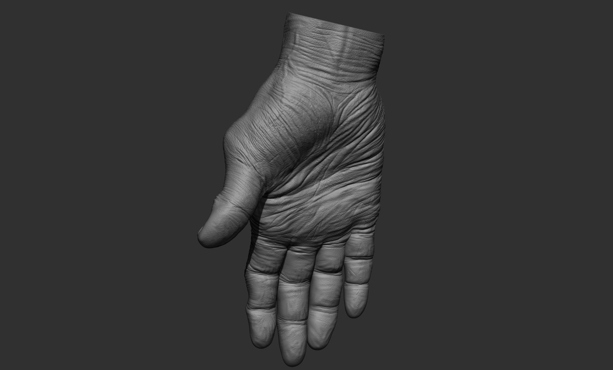 Old man hand poses 3D model_44