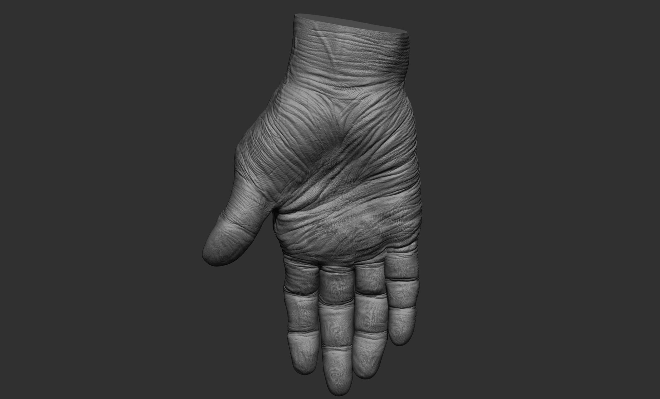 Old man hand poses 3D model_45