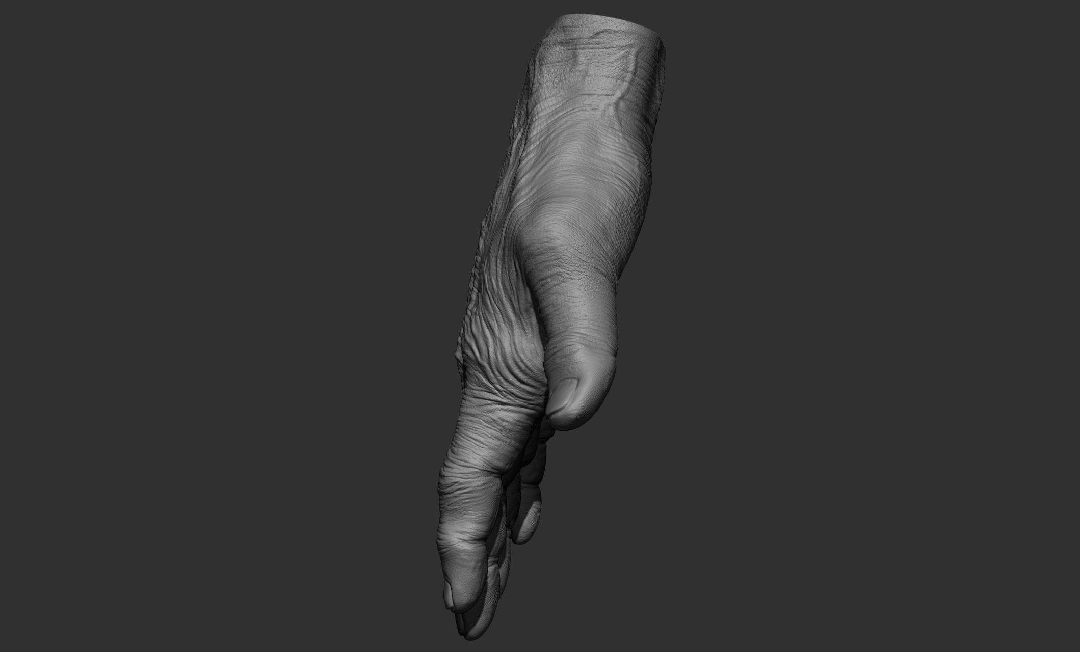 Old man hand poses 3D model_43