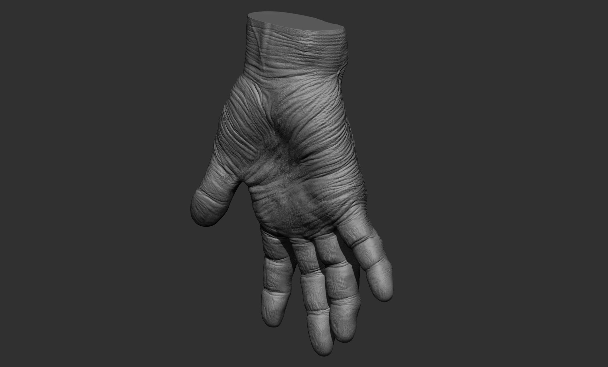 Old man hand poses 3D model_39