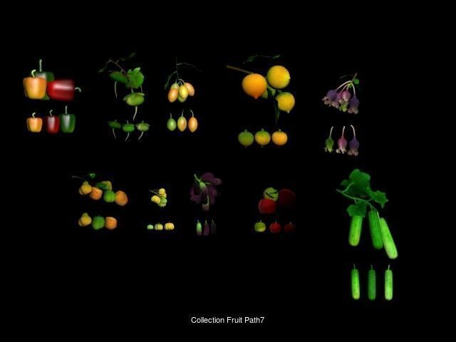 Collection Fruit texture pack _6