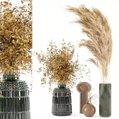 Dry plants 08 - Dried Plantset Pampas whit Glass vase 