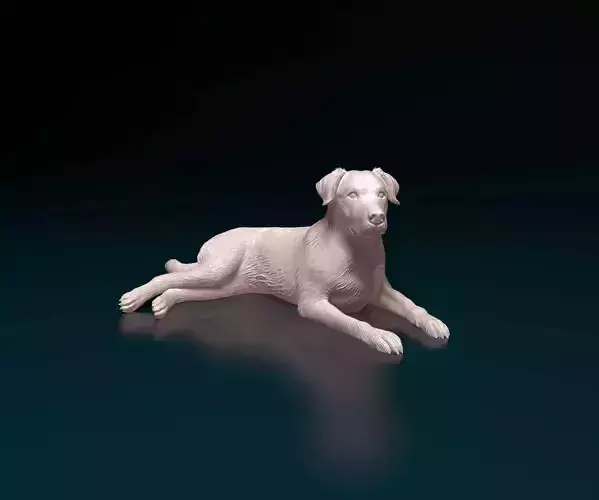 Labrador dog 3D print model
