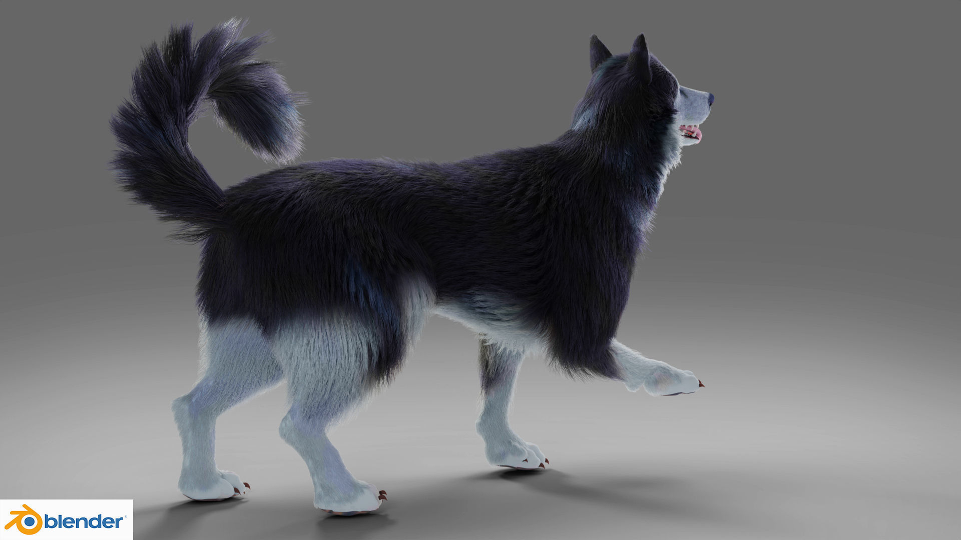 Fur Gray Wolf Rigged and Animation V01 Low-poly 3D model_5