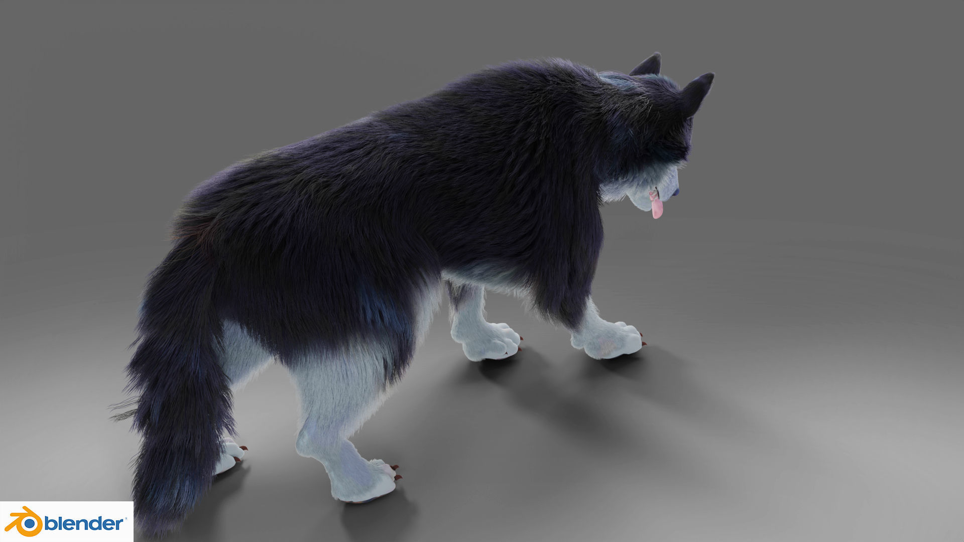 Fur Gray Wolf Rigged and Animation V01 Low-poly 3D model_6